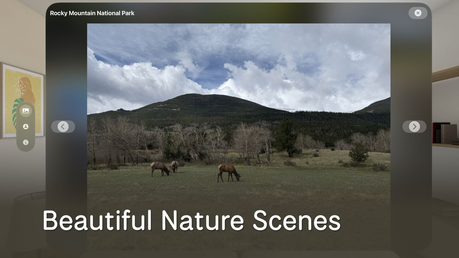 Stunning nature scenes